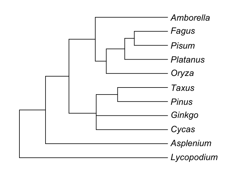 3 An introduction to Phylogenetic Comparative Methods | Half-day ...